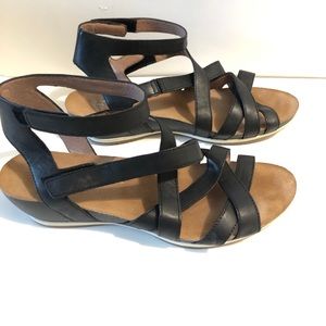 Dansko Veruca Gladiator Women Straps Black Sandals